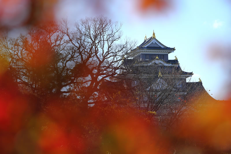 2020年岡山後楽園紅葉