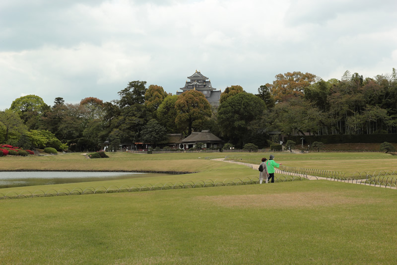 岡山後楽園　レンゲ