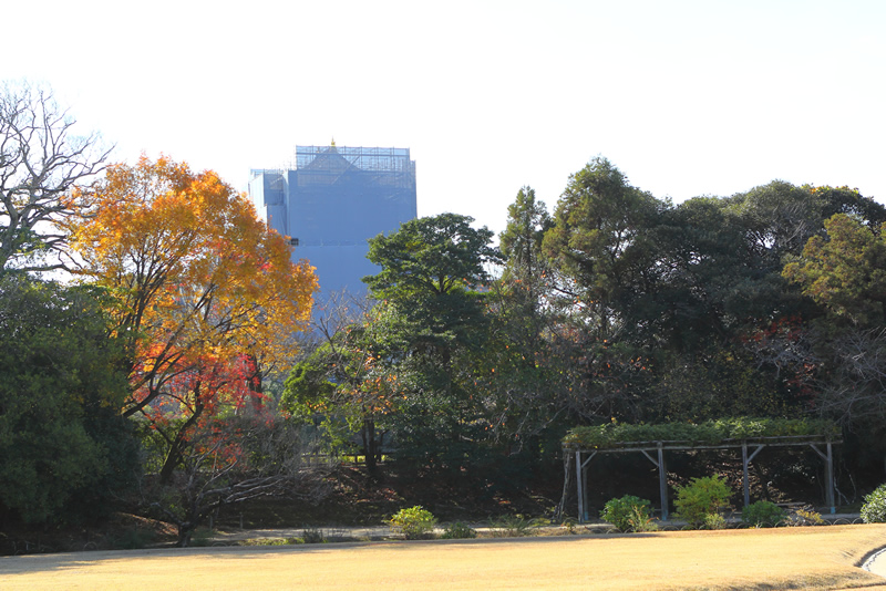 岡山城は工事中