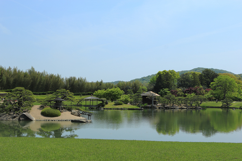 岡山後楽園　レンゲ 2022