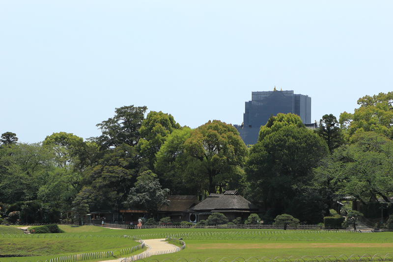 岡山後楽園　レンゲ2022