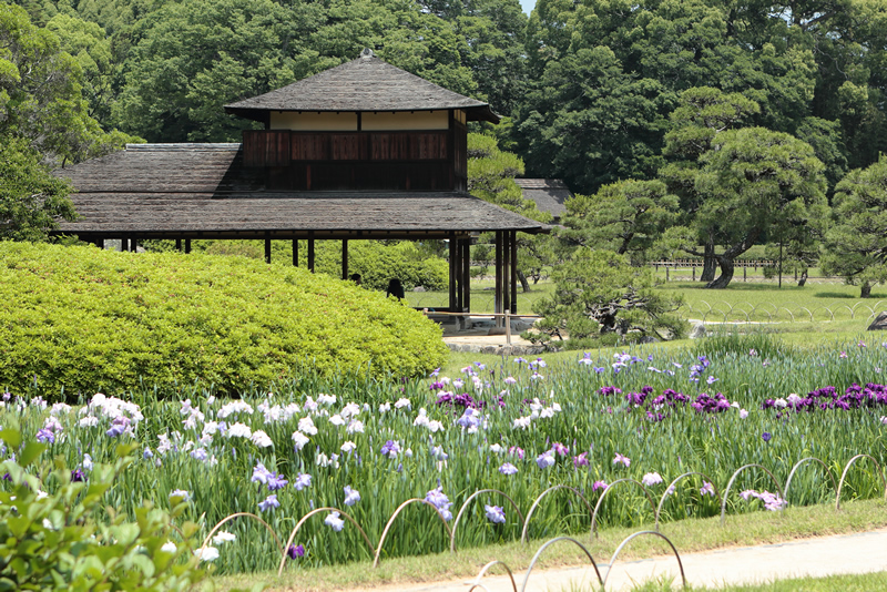 岡山後楽園　岡山城