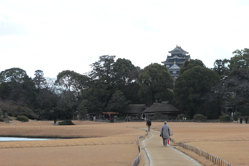 岡山後楽園　蝋梅　2023