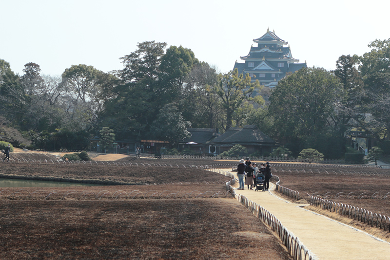 岡山後楽園　梅　2024年2月