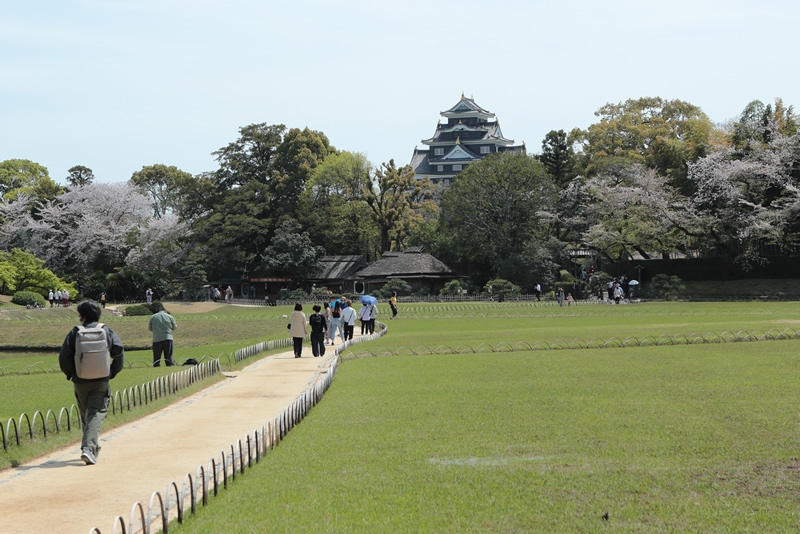 岡山後楽園レンゲ2024