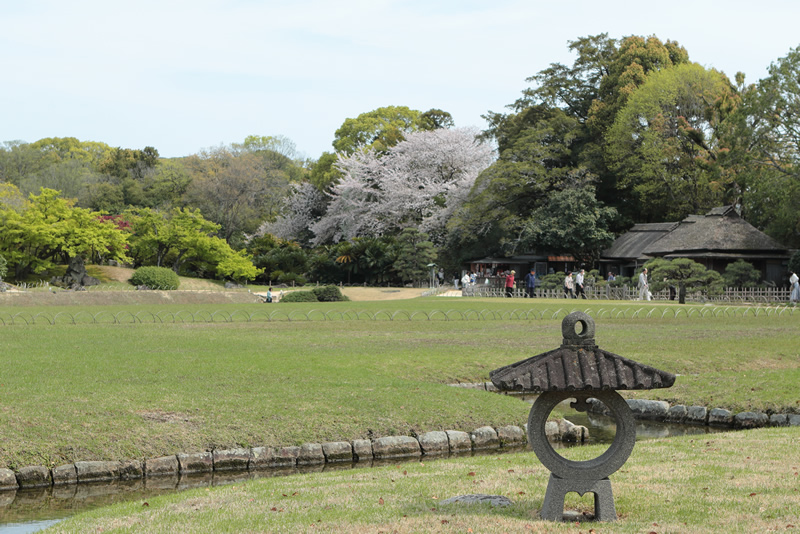 岡山後楽園レンゲ2024